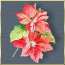 WW Sammelthrad s��e Rezepte Weihnachtsb�ckereien selbstkreiert 3 1025636857