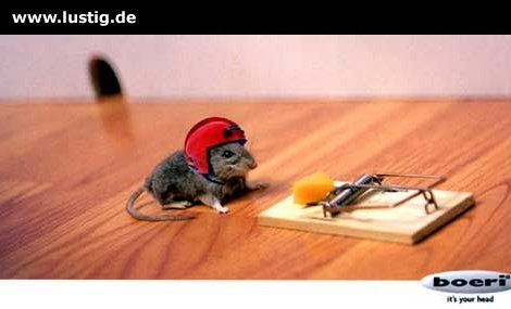 Glyx Woche 2 Jahre 2006 144425169