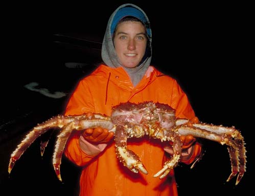 King Crab Legs 3357395422