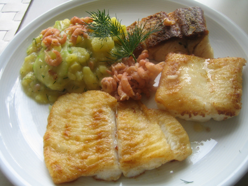 rezept schwarzer heilbutt gebraten Gebeizter lachs / graved lachs rezept