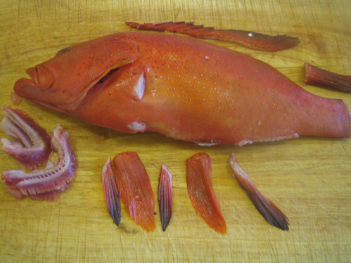Erdbeer Grouper Salzkruste explodiert kennt Grund 3155675116