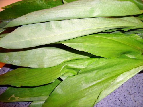 Seketas Fr�hling Kresseschaumsuppe 4177110266
