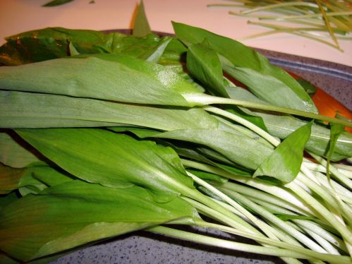 Seketas Fr�hling Kresseschaumsuppe 1531679116