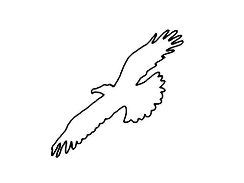 Test 1024745847