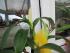full_img_6246.jpg