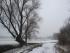 full_img_6270.jpg