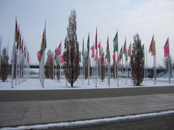 full_img_6396.jpg