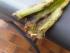 full_519b611e019ab_raupe.jpg