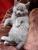 Im Katzenbettchen f�hle ich mich wohl