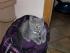 Zu was so eine B�chertasche alles gut  ist !