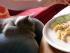 Das w�rdemir auch schmecken!