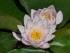 full_kp1130309.jpg