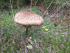Impressionen im September