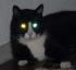 mein Monster :-)