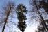 full_img_1338.jpg