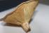 full_img_4284pilze.jpg