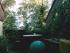 meine gr�ne Insel am 16.06.07