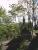 IMAG0009.JPG
