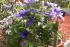 full_dsc01230.jpg