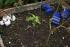 full_dsc01325.jpg