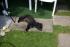 full_dsc00151.jpg