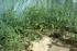 full_dsc03882.jpg