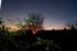 full_dsc01915.jpg