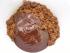 full_cakepops005.jpg