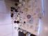 full_cakepops012.jpg