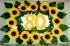 Schild f&uuml;r Torbogen ( Oma wird 80, Thema Sonnenblume)
