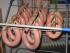 Knoblauchwurst frisch