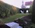 Unsere Beerenstr�ucher