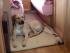 full_052jacky.jpg