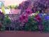 Balkon 2008