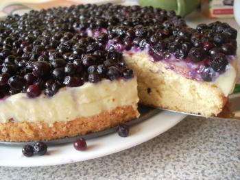 Heidelbeerkuchen mit Vanillepudding (21.3.09)