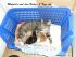 Mafalda und ihre Babys an Tag 3