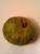 Cherimoya von oben
