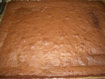 Meine ersten Brownies nach dem Brownie-Mix von famenight (noch ungeschnitten)