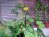 full_bild103.jpg
