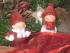full_img_0175.jpg Wichtel