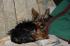 full_dsc_0475.jpg