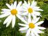 full_bild089.jpg