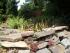 full_pict4107.jpg