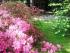 2012-05-08 13.44.41.jpg