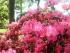 2012-05-08 13.46.03.jpg