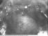 full_518564c8ea238_storch1.jpg