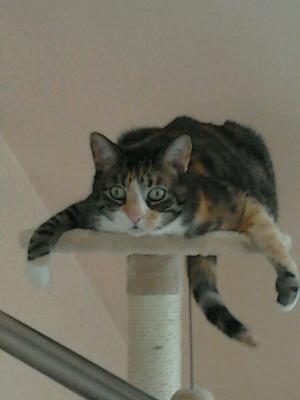Lilli I believe I can fly