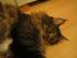 full_img_0681.jpg