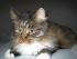 full_img_0072.jpg