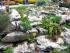 Steingarten im Botanischen Garten beim Schlo� Balcik